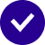 Check mark icon